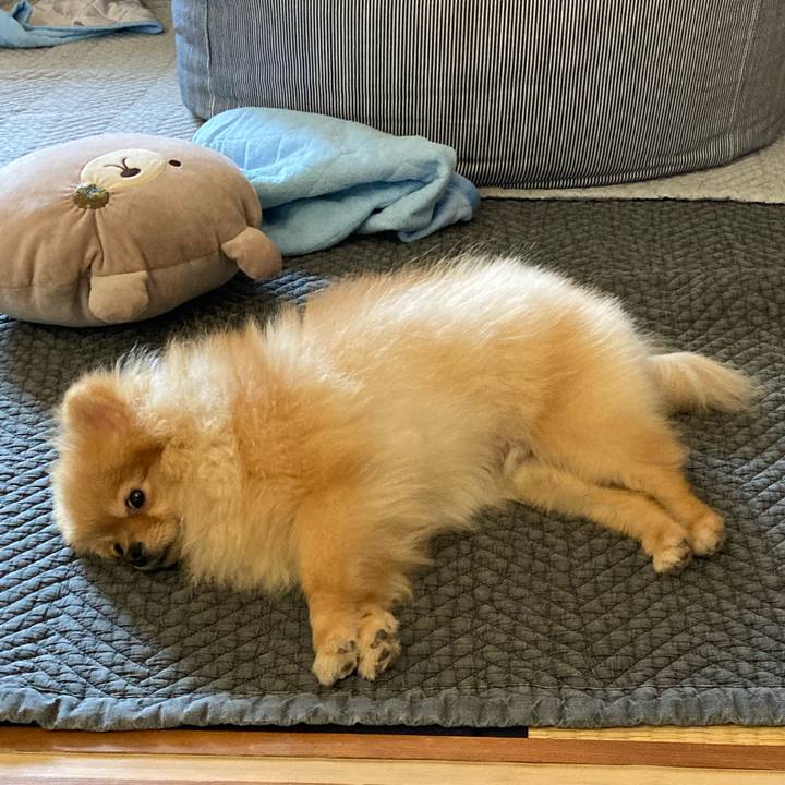 5ab56d86 ce21 4406 8a89 e72f725c8397 1687388180100