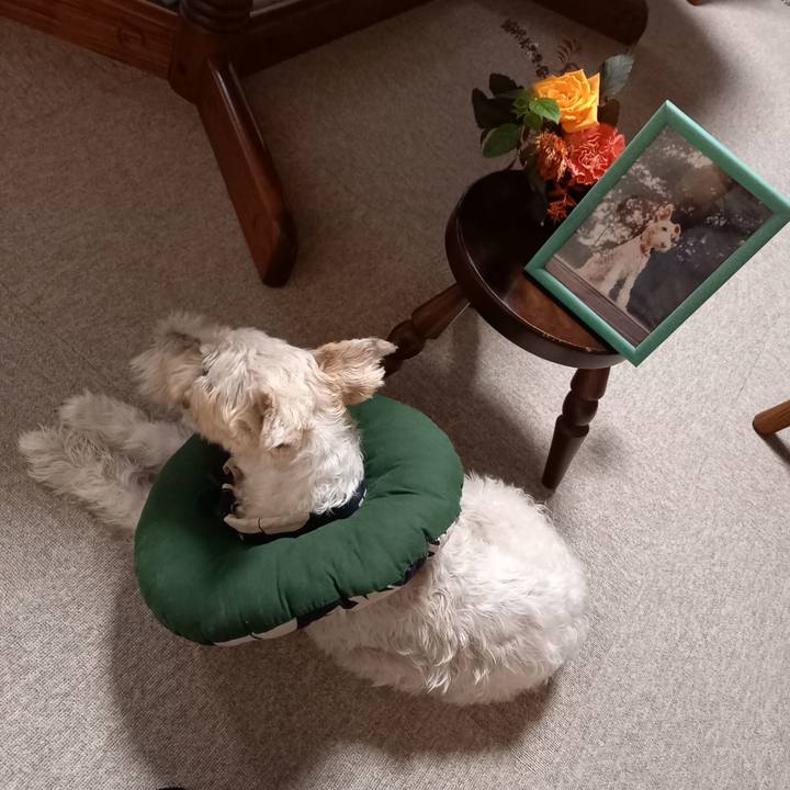 5ab57063 f1fd 4741 a910 7bb7e511e766 1633093924696