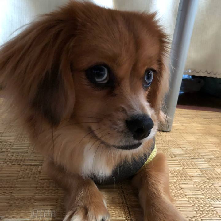 5ab57341 15ed 4b39 807c bbf79a7bab60 1514962369165