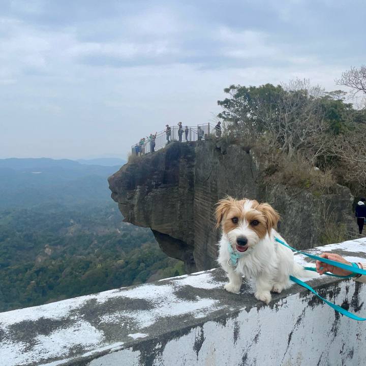 5ab580d5 2e82 4491 a930 f57cda803718 1774866211222