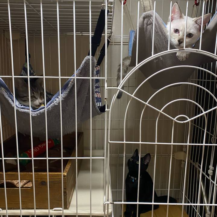 5ab5cda8 e19f 4933 876d dcff19a043ce 1629795215811