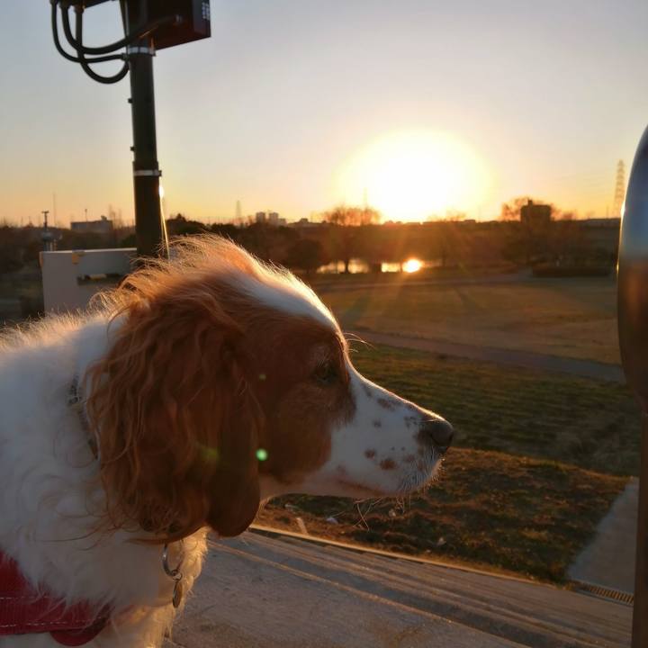 5ab63612 0516 4339 b526 9662f43cd42a 1611132050445