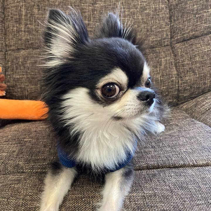 5ab696af 720d 460d a8b7 04352049e70f 1701600601056