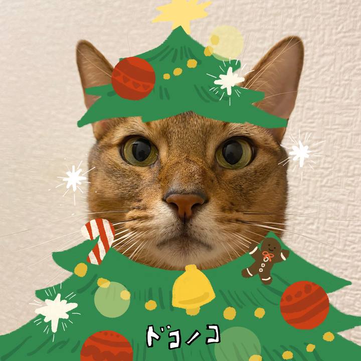 5ab6a265 4f07 4b64 9f23 ecd244fd26e2 1764224108356