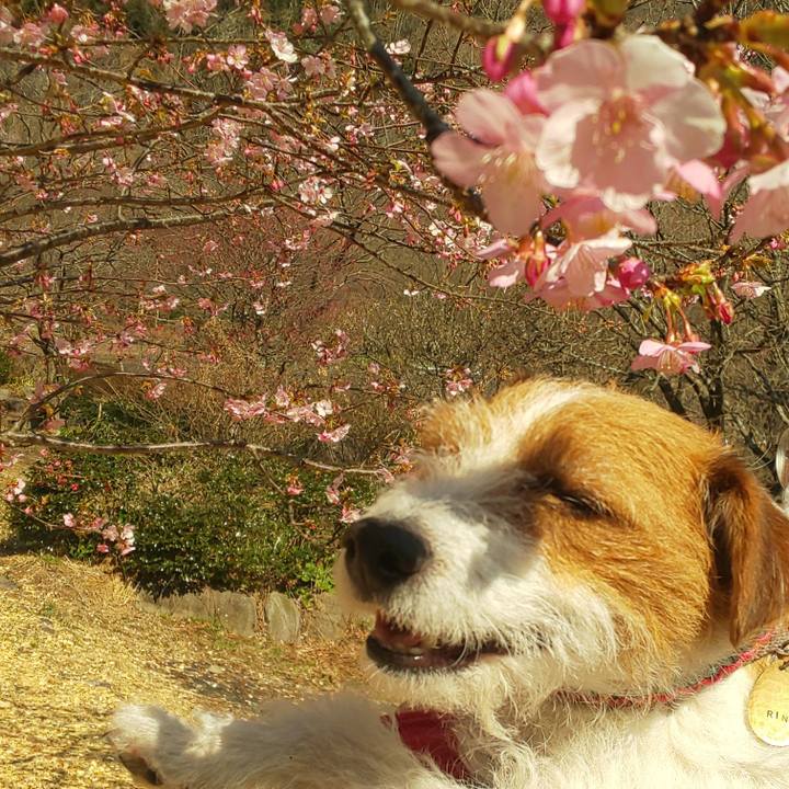 5ab6c335 9b20 4348 92b8 6b93a89c14d8 1613088062105