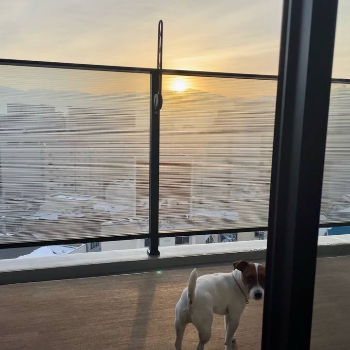 5ab6ed90 3afa 4857 895b 0e0ad332aa55 1642892574438