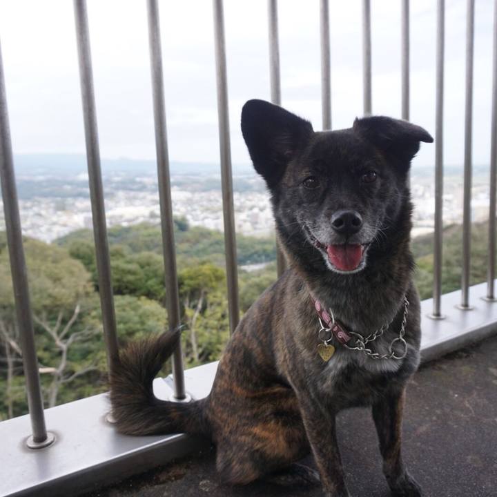 5ab6fcdb 14d0 4ad6 af65 3788ff005f8b 1524399848350