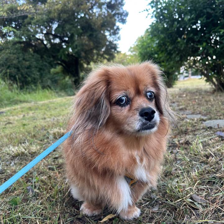 5ab700a9 e51c 409d a0b3 b6538b4e739e 1759180642046