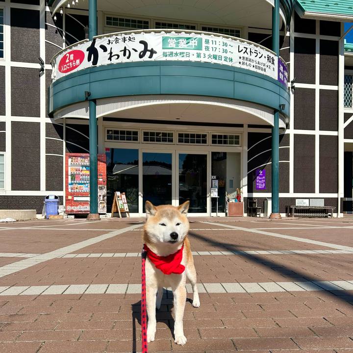 5ab7095a 021a 456a a7a9 9ca52617c0e7 1739265092527