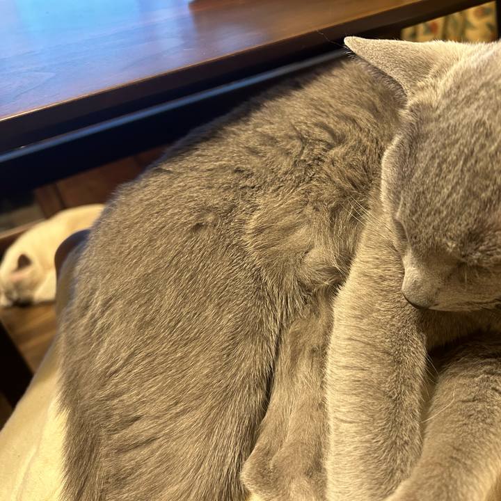 5ab709a5 d78c 4e11 89a9 369b57284523 1737205279867