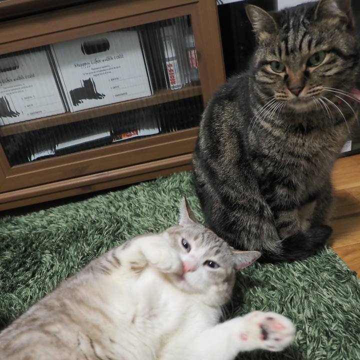 5ab73540 1d70 4c1b aa91 f602dbbd25df 1643890144509