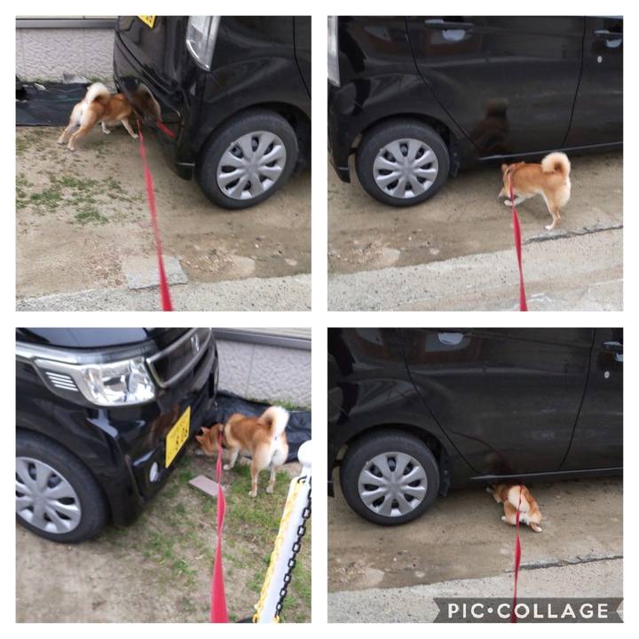 5ab75f3a c77c 4915 ac08 390a2d0c41fd 1671260316323