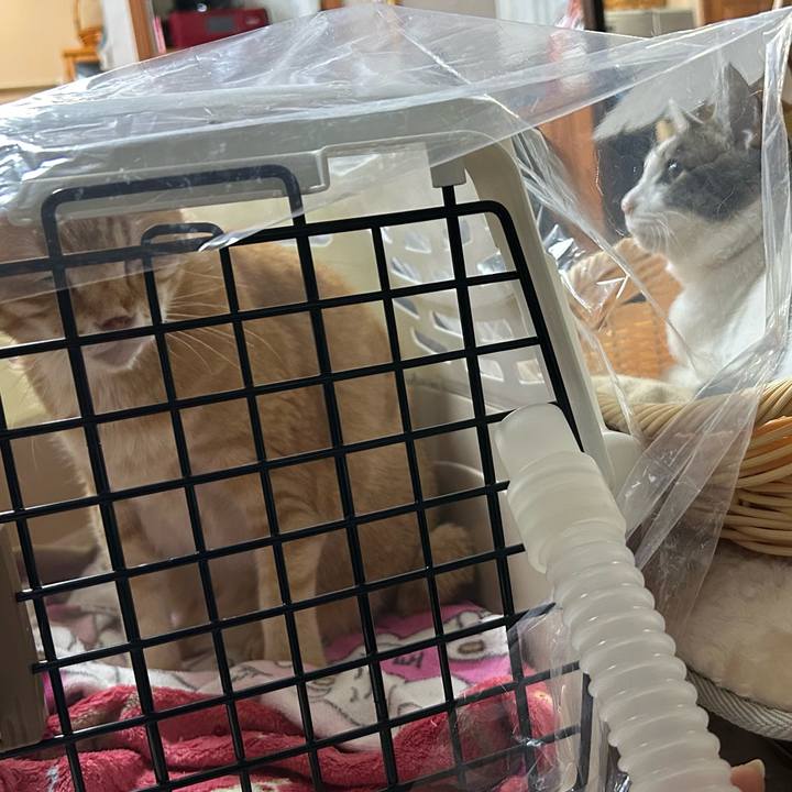 5ab77cbd 1273 483d 85ae 646e5c7c5192 1676760687727