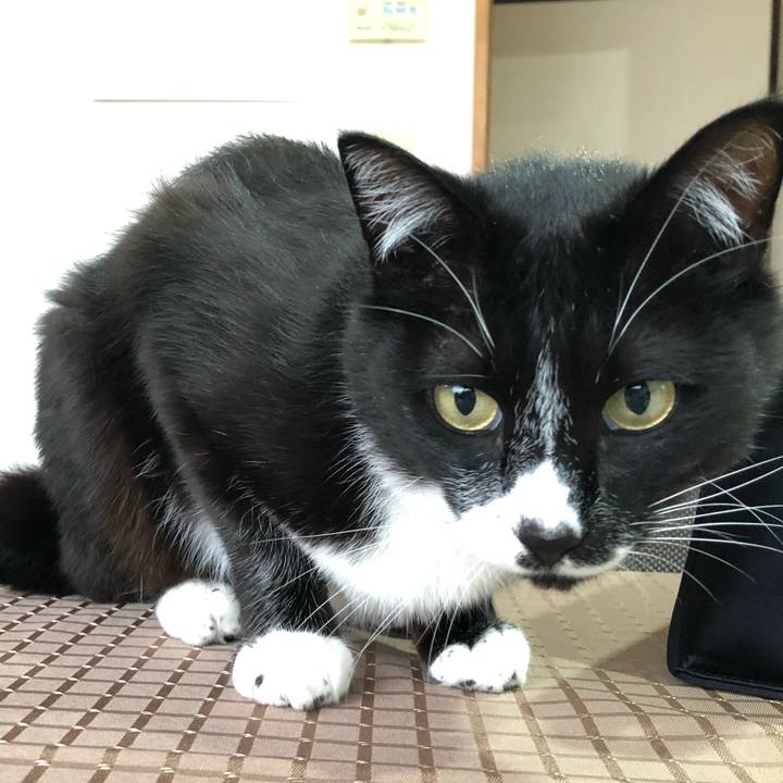 5ab796ed 1700 42f2 a31c 187104471c72 1625024985197