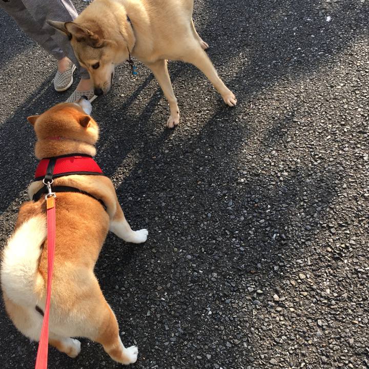 5ab7abb8 23bf 4894 b0c3 ecf8cce187f4 1596497253148