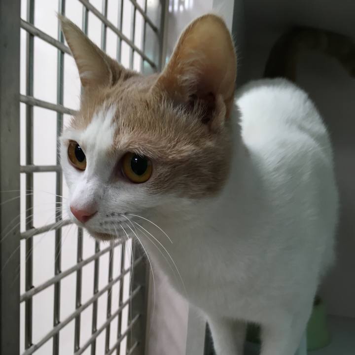 5ab7b9bc 8611 480e b6de e73ce97706da 1522229910182