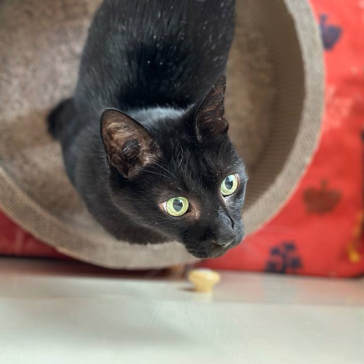 5ab7f0ea 4784 4c24 9385 314be46039e7 1697160840662