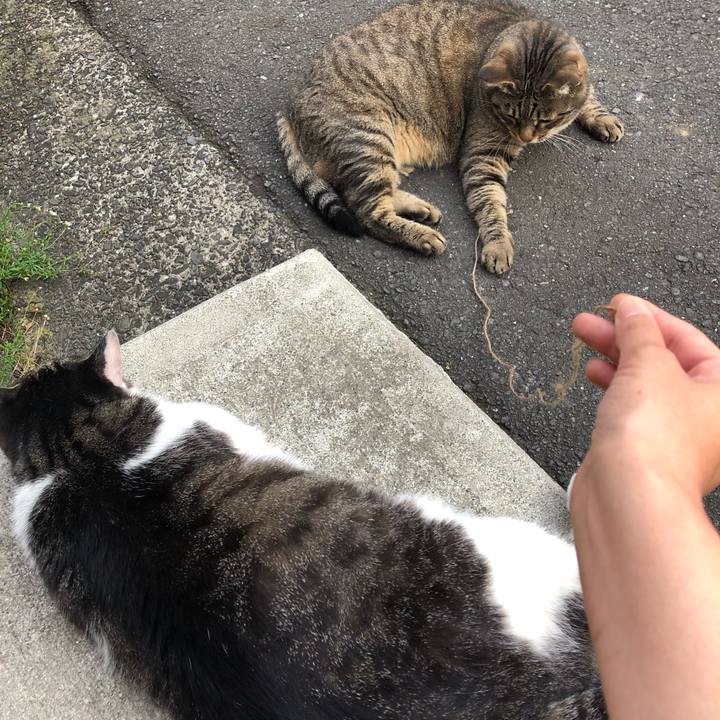 5ab7f6f1 07c6 4607 b46e 1709e0fb92fa 1561549767312