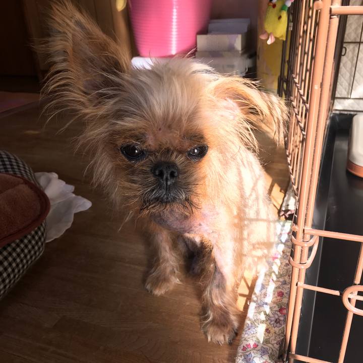 5ab80321 ca8a 4458 984d 9fdb31bf8ee9 1543538123757