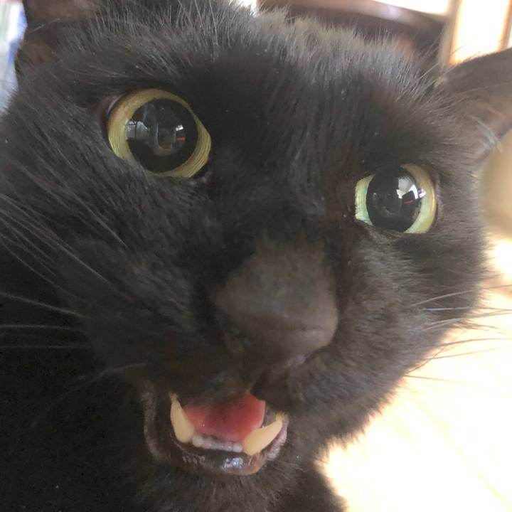 5ab8157c bf48 4ba0 9d56 d249558a91a5 1546650224276