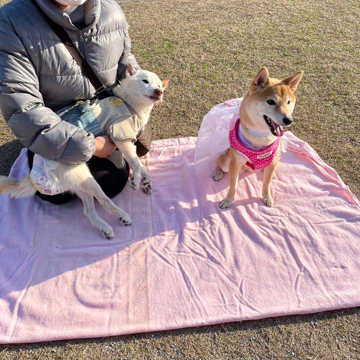 5ab8286f 17a1 42d2 9925 57628a6f632e 1677842162344