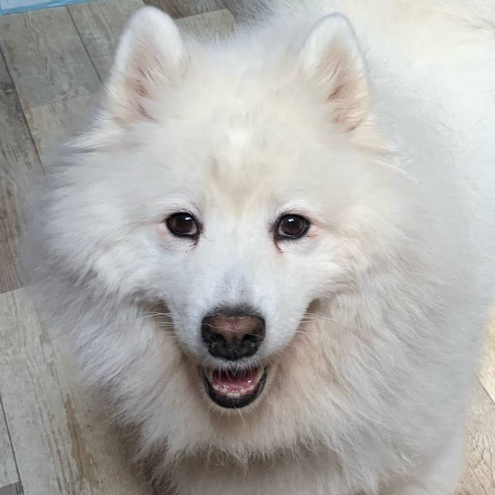 5ab85492 ff1a 4523 9c31 8654b466b5e1 1628389965290