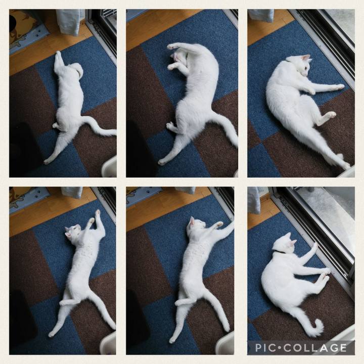 5ab85507 3eb4 46ed bfcb b1d4f7c4a314 1660602289989