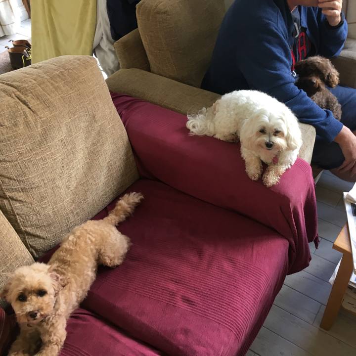 5ab886d5 e10c 40e5 aba8 b47502f2e6c8 1566138673758