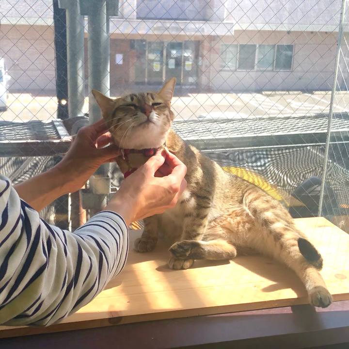 5ab88862 e9fd 4332 a1ee c891ff5e90d1 1620256610659