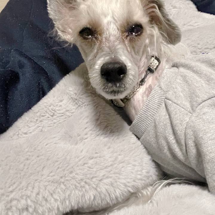 5ab88cd3 7a1f 4d4f b8fe 53bcef13f7a4 1764150064037