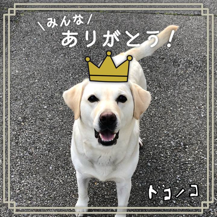 5ab8d26b b7b8 4182 956f c29c5e06d5fc 1623201598382