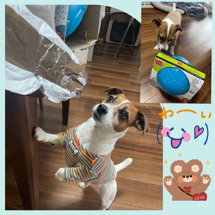 5ab8f27a 1860 4b62 93d1 849605f62afb 1741001074982