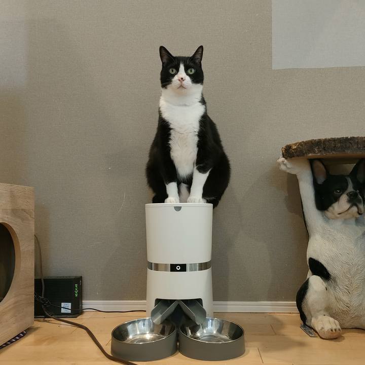 5ab92782 70d6 45a4 9404 a346b0cb7910 1758677987176