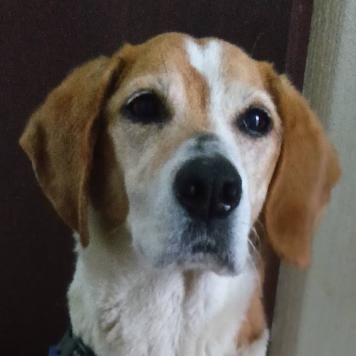 5ab93451 33d4 4516 859f 99f42b3f9847 1748168359005