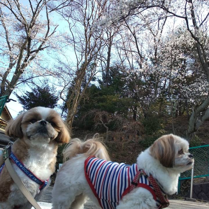 5ab95931 bca5 41ff 8350 9dea8d2f5efb 1680140183573