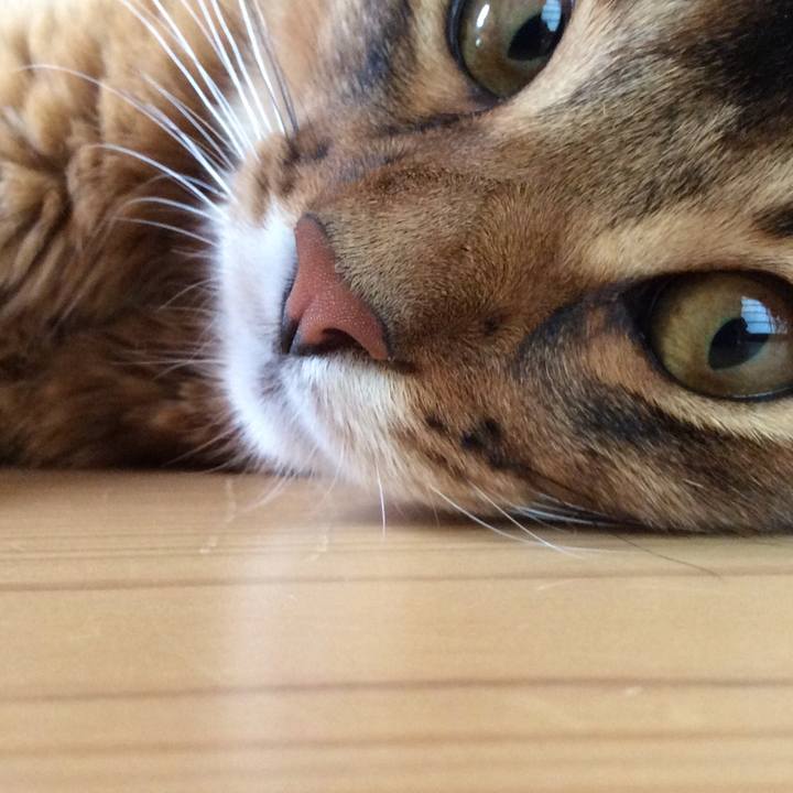 5ab97254 2b09 4198 a1d3 3d9bdb3b47de 1564467811926