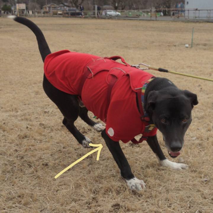 5ab9c686 5c6b 4216 ba3c 07f9cc26b5ac 1676337077094