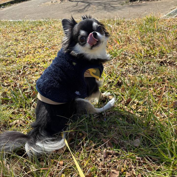 5ab9cf7b 9de3 4bd1 aaf5 2a69653c1395 1740241733656