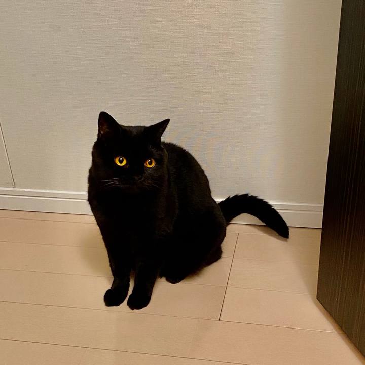 5ab9f796 6c89 45db 899a d4a19d94d4ae 1597138262976