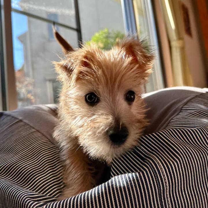 5aba1cb8 ddf7 488a 8155 7715963539d8 1701548633657