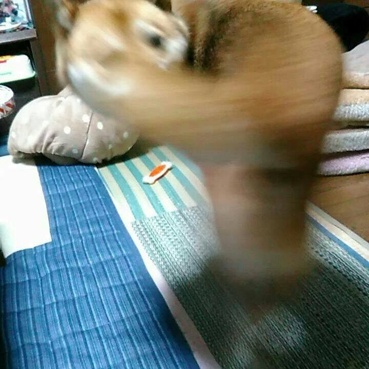 5aba2b32 6ac6 4b3c ac3d 249801aad344 1566134670933