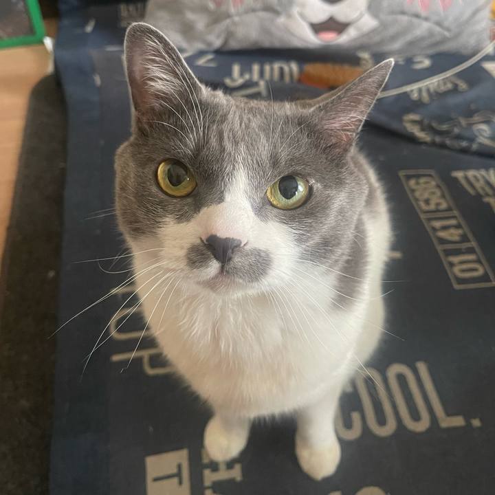 5aba4bbd f775 45ab 8e5c 3a132be46b35 1750553992694