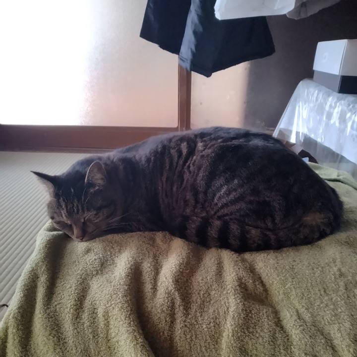 5aba5509 1ab4 495c a0fb 2d9536662e8b 1678321759056