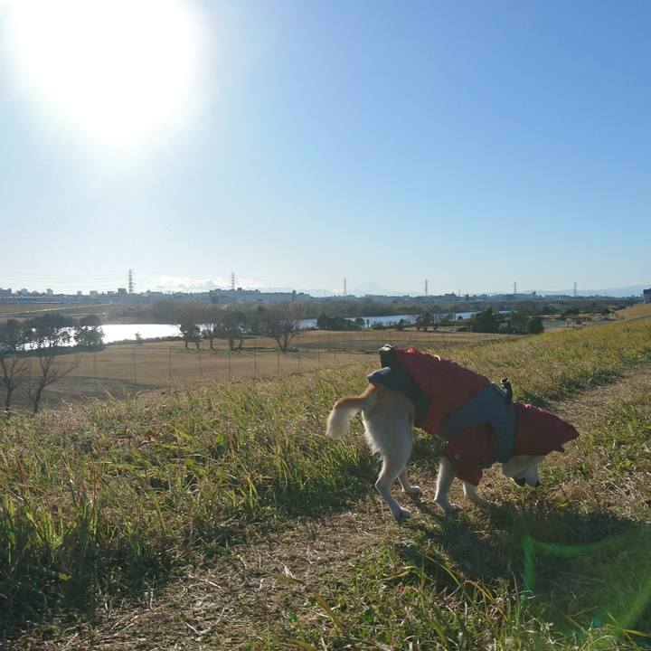 5aba59d4 951c 4d62 a12e 48aa22c78fd7 1514877159349