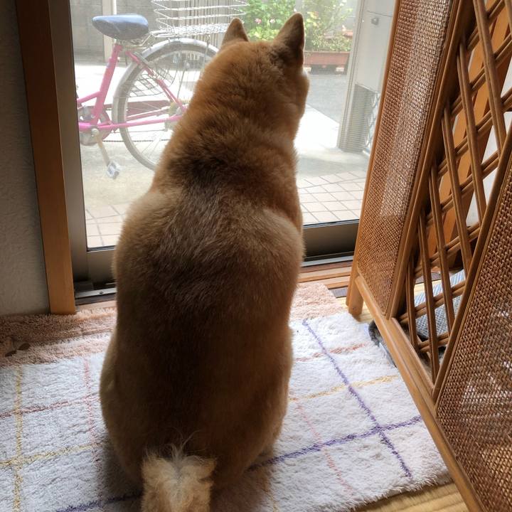 5aba6a56 5432 4a36 8350 783bbff90133 1565920094379