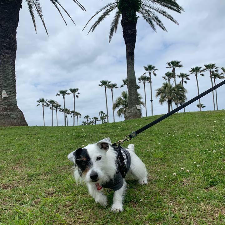 5aba7922 12dd 4c3c 8358 a4c7c79dac08 1682734912688