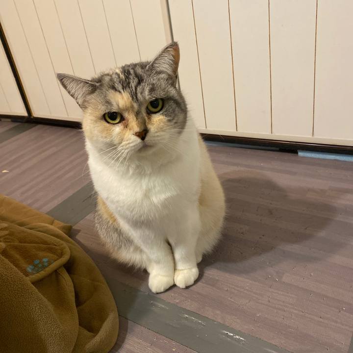 5aba7bb0 6b3b 4cc1 a704 4c88ab826d51 1670249364314