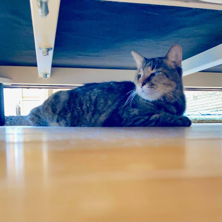 5abaa79a e1bf 435d a386 29e7a08acc94 1663383633506