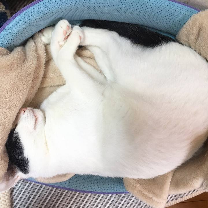 5abacedf b7aa 49fa 8605 59f9ea8997b0 1530636156564