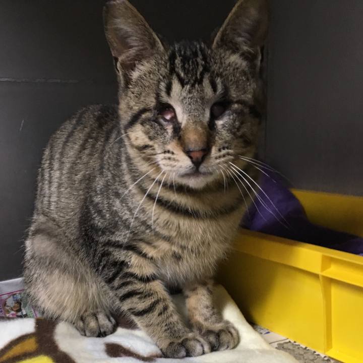 5abb85b7 f1e2 4b5e 8068 2274ca06a2d4 1552899332167